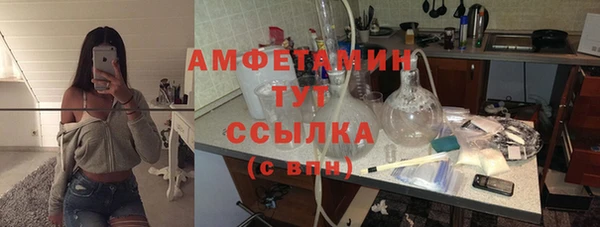 мдпв Краснослободск