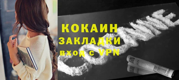 мдпв Краснослободск