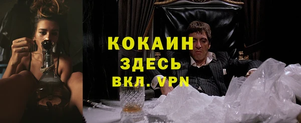 мдпв Краснослободск