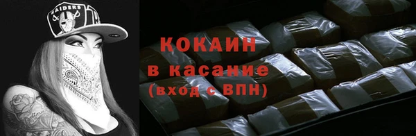 мдпв Краснослободск