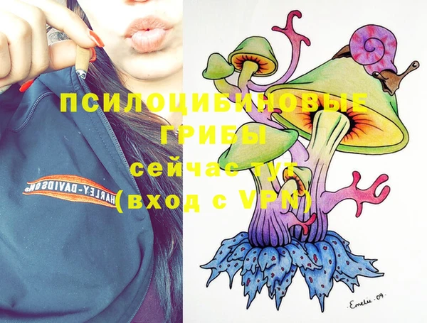 мдпв Краснослободск