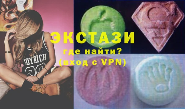 мдпв Краснослободск