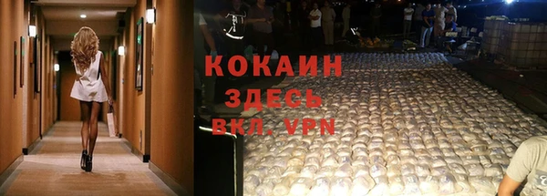 мдпв Краснослободск